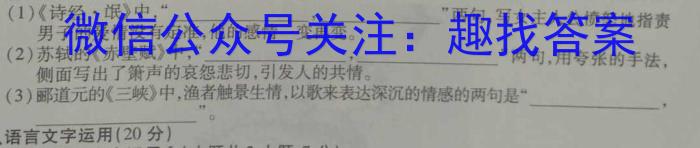 2023年陕西省初中学业水平考试押题卷语文