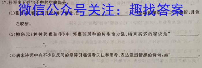 2023年广东大联考高二年级5月联考语文