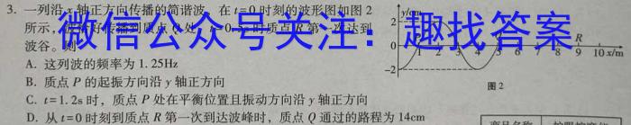 2023年普通高等学校招生全国统一考试·临门猜题卷(二)l物理