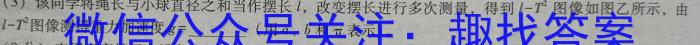 2022-2023学年度第二学期高二年级大通县期末联考(232775Z)物理.