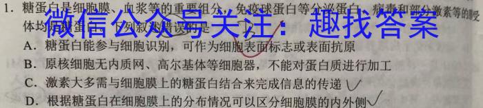 河北省2023-2024学年第一学期九年级学业水平检测四数学