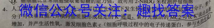 2023届普通高等学校招生全国统一考试 5月青桐鸣高三联考(新教材版)数学