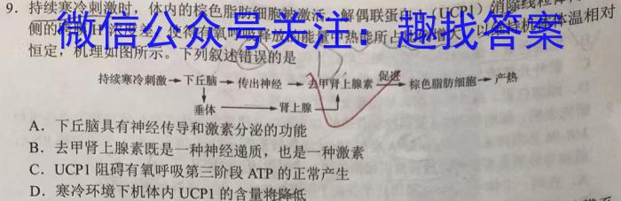 2023年普通高等学校招生全国统一考试·临门猜题卷(一)生物