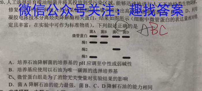 合肥一中2023届高三最后一卷(2023.5)数学