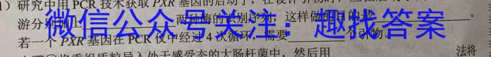 四川省宜宾市叙州区第一中学校2023年春期高二期末考试数学