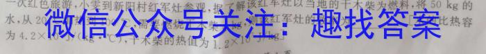 天一大联考 2023年九年级考前定位考试物理.