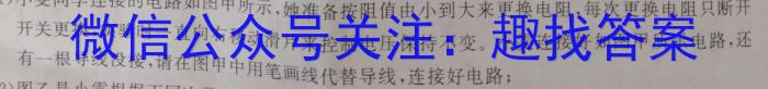 2022学年第二学期浙江强基联盟2023届高三仿真模拟卷(二)(23-FX09C)物理.