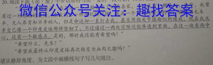 安徽省芜湖市无为市2022-2023学年度八年级第二学期期末学业发展水平检测语文