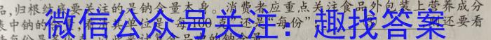 百校联赢·2023安徽名校大联考最后一卷语文