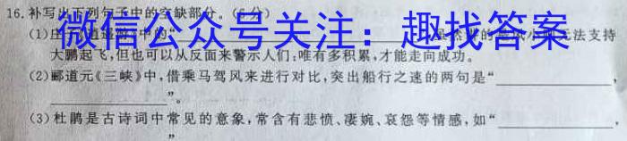 安徽省安庆市2023届初三毕业班模拟考试（二模）【第二中学】语文