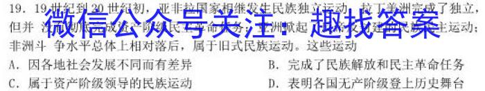 安徽省芜湖市无为市2022-2023学年度八年级第二学期期末学业发展水平检测历史