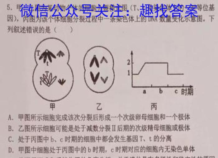 安徽省淮南市潘集区全区2023-2024学年度第一学期八年级期末教学质量检测数学