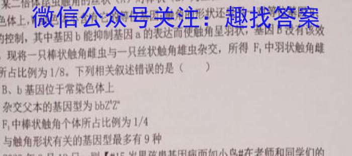 2024年河南省中招考试押题试卷(二)数学