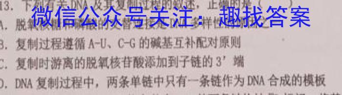 上进联考 2024年5月江西省高二统一调研测试数学