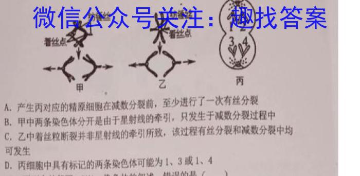 衡水金卷先享题2024答案调研卷(湖北专版)三数学