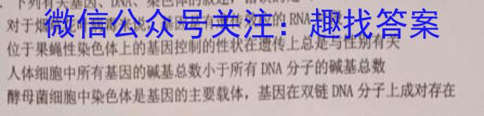 河北省2023-2024学年第一学期高二期中联考(24155B)数学