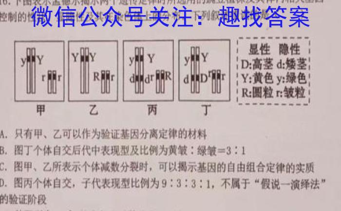 2023年百万大联考高三年级5月联考数学