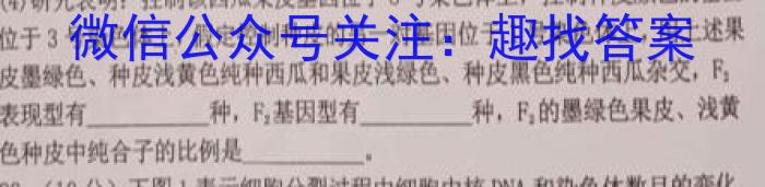 2023-2024学年度高中同步月考测试卷（三）新教材·高二数学