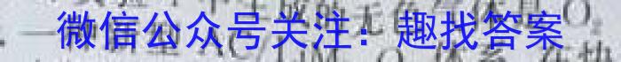 2023年陕西省初中学业水平考试全真预测试卷(C) A版化学