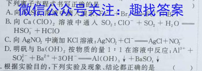 2023年陕西省初中学业水平考试·中考信息卷（A）化学