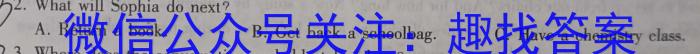 安徽省C20教育联盟2023年中考最后典题卷(二)英语