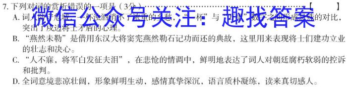 陕西省西安市2023年九年级教学质量检测B（△）语文