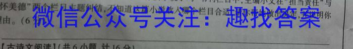 2023届华大新高考联盟高三年级5月联考（新教材）语文