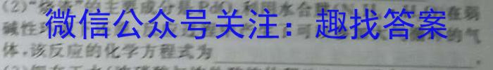 2023年安徽省初中毕业学业考试冲刺卷（二）化学