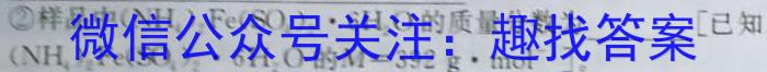 安徽省2023年中考导航总复习三轮模拟（二）化学