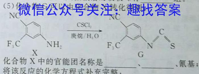 2023年邯郸市中考模拟试题(6月)化学