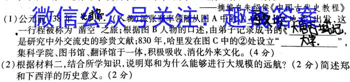 安徽省2022~2023学年度七年级下学期期末综合评估 8L AH历史试卷