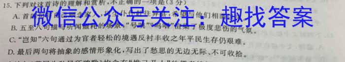 江西省2023年初中学业水平考试适应性试卷（四）语文