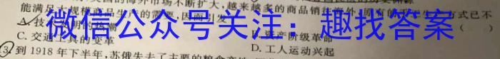 河南省2022~2023学年度八年级下学期阶段评估(二) 7L R-HEN历史试卷