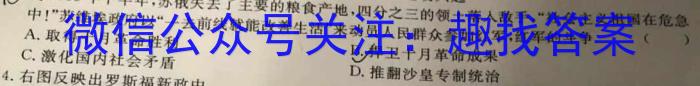 安徽省十联考 合肥一中2022-2023学年高二年级下学期期末联考历史