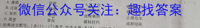 安徽省芜湖市镜湖区2022-2023学年度七年级第二学期期末教学质量测评语文