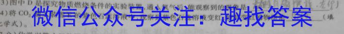 江西省2022~2023学年度八年级下学期期末综合评估 8L R-JX化学