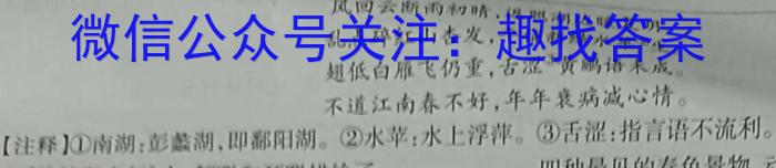 五市十校/三湘名校/湖湘名校·2023年上学期高一期末考试语文