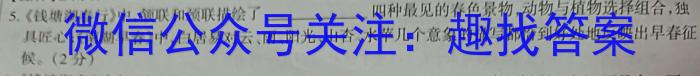 安徽第一卷·2022-2023学年安徽省七年级下学期阶段性质量监测(七)语文