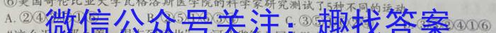 ［益卷］2023年陕西省初中学业水平考试冲刺卷（C版）语文