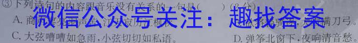 2023普通高等学校招生全国统一考试·名师原创调研仿真模拟卷(二)语文