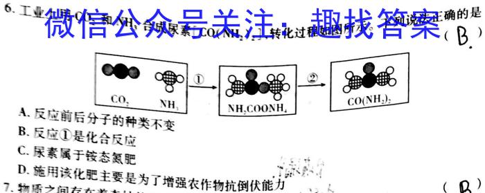 贵州省2023年高二年级6月联考（23-503B）化学