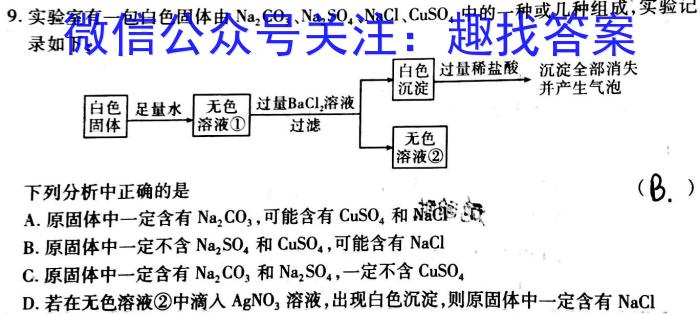 名师卷 2023届普通高等学校招生全国统一考试仿真模拟卷化学