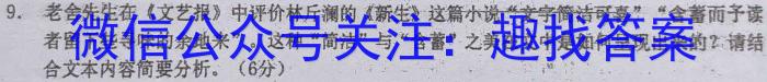 2023年陕西省初中学业水平考试模拟试卷W5语文