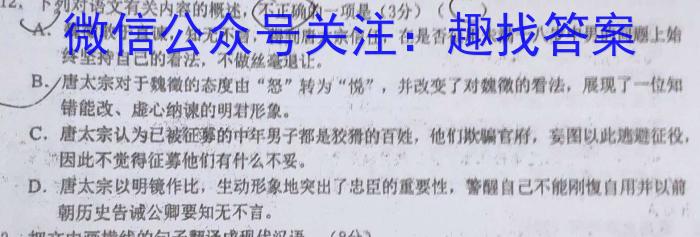 2023年金安高三年级适应性考试卷(23-485C)语文