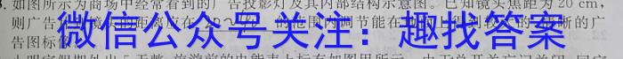 安徽省芜湖市2022-2023学年度八年级第二学期期末教学质量测评l物理