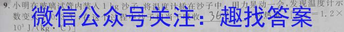  2023年安徽省名校之约大联考中考导向压轴信息卷物理`