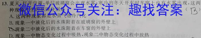 云南师大附中(云南省)2023届高考适应性月考卷(白白黑白黑白白白)(十)物理.