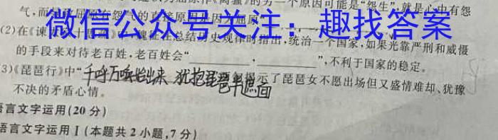 安徽省2022-2023学年度第二学期九年级作业辅导练习语文