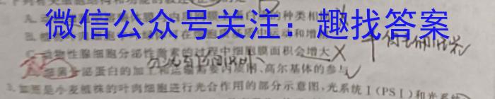 2023届青海省高三试卷5月联考(标识⇨⇦)生物