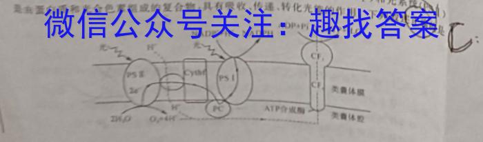 安徽省巢湖市2024-2023学年度八年级第二学期期末教学质量检测数学